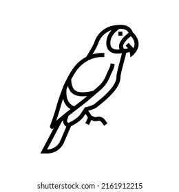 parrot tropical bird line icon vector. parrot tropical bird sign. isolated contour symbol black illustration