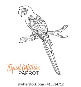 Parrot  Tropical bird  Vector illustration  Coloring book for adult   older children  Coloring page  Outline drawing 