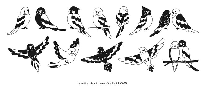 Parrot tropical doodle set. Summer wild exotic sitting and flying bird collection. Wildlife jungle Hawaiian cute parrots, funny pretty parakeet characters hand drawn linear glyph vector illustration