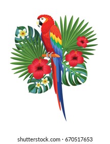 Parrot and tropical leaves. Vector illustration.