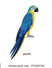 Parrot - unmatched sound simulator with beautiful plumage