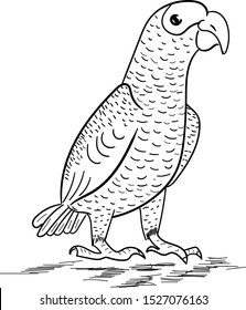 Parrot vector animals isolated illustration on white background . Concept for print, web design, cards  logo, icon 