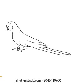 Parrot Vector Art Graphics Template For Business And Company