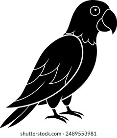 Parrot Vector art illustration design