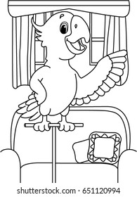Parrot vector coloring page for kids.