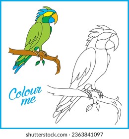 Parrot vector colouring book for kids