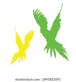 Parrot vector design with bright colors and white background