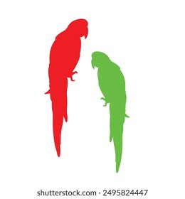 Parrot vector design with bright colors and white background