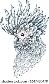 Parrot. Vector graphics. Ink work.