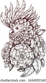 Parrot. Vector graphics. Ink work.