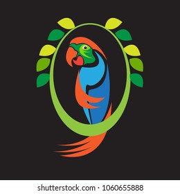 parrot vector illustration