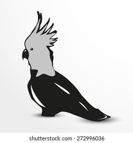 Parrot. Vector illustration. Animal collection.