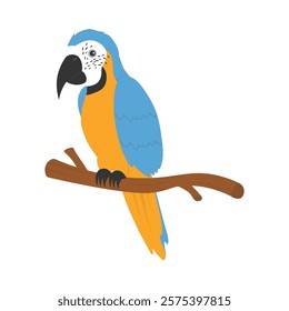 Parrot Vector Illustration - Blue and Gold Macaw