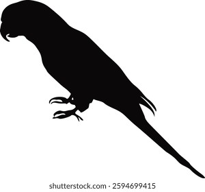 Parrot Vector Illustration  Colorful Tropical Bird in Nature