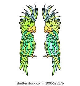 Parrot vector illustration. Doodle style. Design, print, logo, decor, textile, paper.