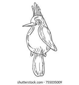 Parrot vector illustration. Doodle style. Design, print, logo, decor, textile, paper