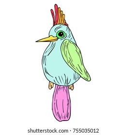 Parrot vector illustration. Doodle style. Design, print, logo, decor, textile, paper