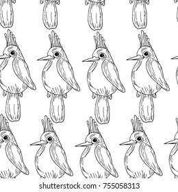Parrot vector illustration. Doodle style. Design, print, logo, decor, textile, paper