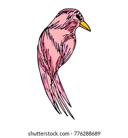 Parrot vector illustration. Doodle style. Design, print, decor, textile, paper
