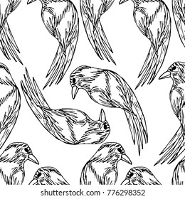 Parrot vector illustration. Doodle style. Design, print, decor, textile, paper
