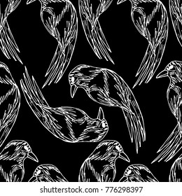 Parrot vector illustration. Doodle style. Design, print, decor, textile, paper