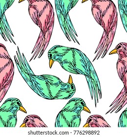 Parrot vector illustration. Doodle style. Design, print, decor, textile, paper