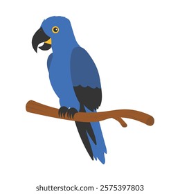 Parrot Vector Illustration - Hyacinth Macaw