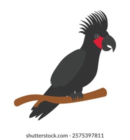 Parrot Vector Illustration - Palm Cockatoo