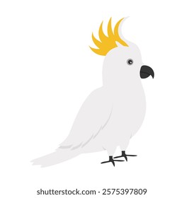 Parrot Vector Illustration - Sulfur Crested Cockatoo