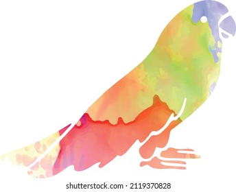 parrot vector or painting with watercolor which is editable