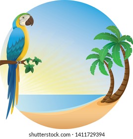 parrot vector, palm tree, beach sea