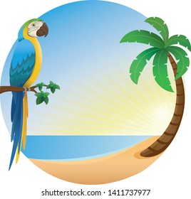 parrot vector, palm tree, beach see, sun