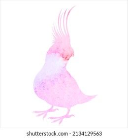 parrot watercolor silhouette, isolated vector