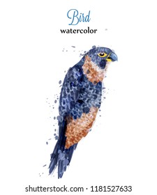Parrot watercolor Vector tropic bird. Colorful painted style illustrations
