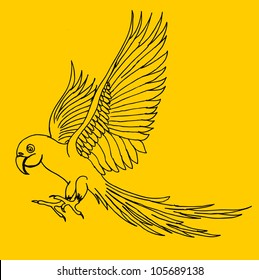 parrot wings