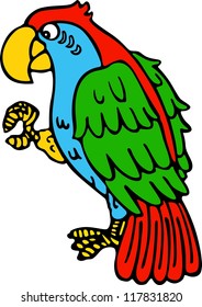Parrot yellow beak