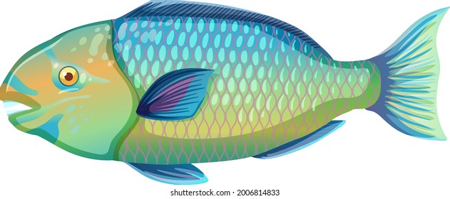 Parrotfish in cartoon style isolated on white background illustration