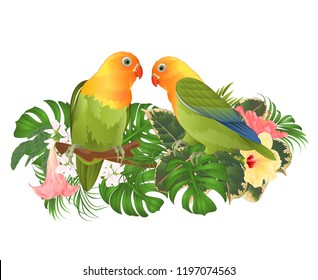 how to draw a lovebird