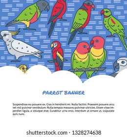 Parrots background in line style with text