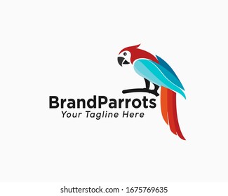 Parrots bird alighted logo design inspiration