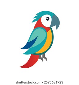 parrots bird  with white background 