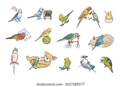 Parrots birds cat, dog pets vector illustrations set.
