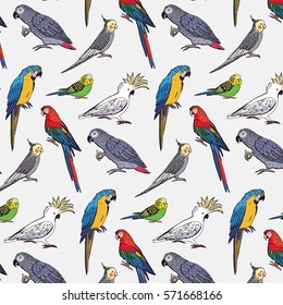 parrots birds pattern