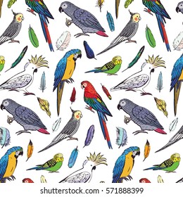 parrots birds pattern