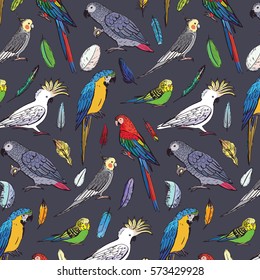 parrots birds pattern