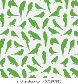 parrots birds pattern