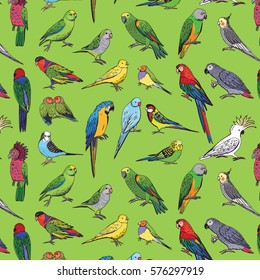 parrots birds pattern