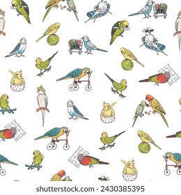 Parrots birds pets vector seamless pattern.