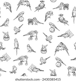 Parrots birds pets vector seamless pattern.