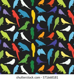 parrots birds silhouette pattern